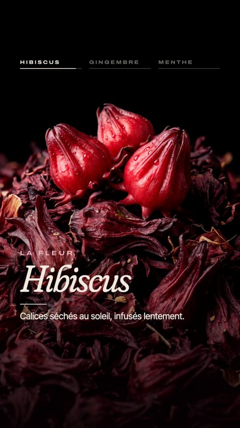 Gros plan sur les fleurs d'hibiscus séchées.